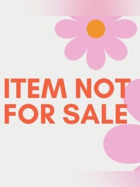 SOLD  Pet Shop Poodle